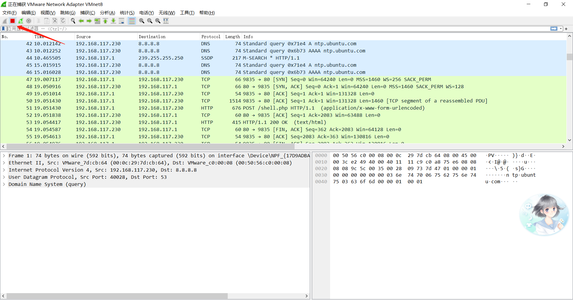 image-20230617183115723