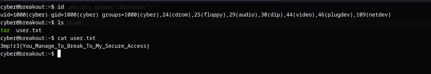 image-20230613161452038