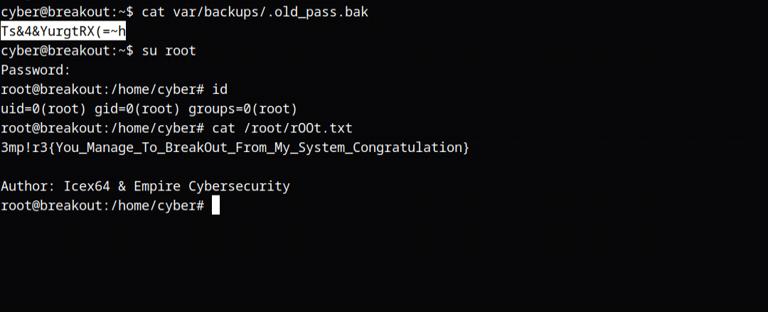 image-20230613162034411