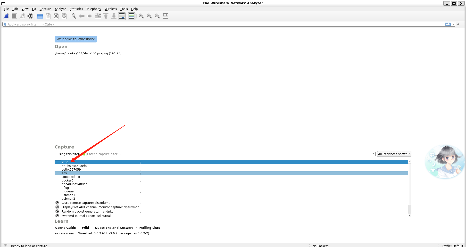 image-20230620202850422