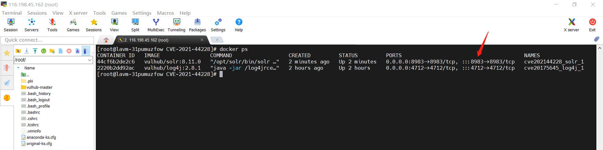 image-20230619105310171