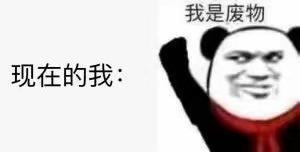 现在的我:我是废物