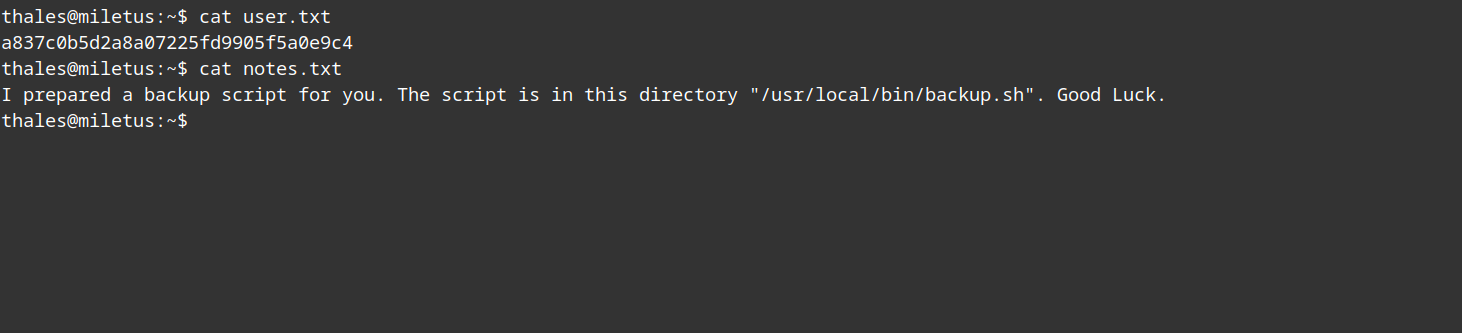 image-20230614111321296