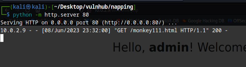 image-20230609113353220