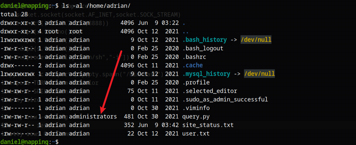 image-20230609114411154