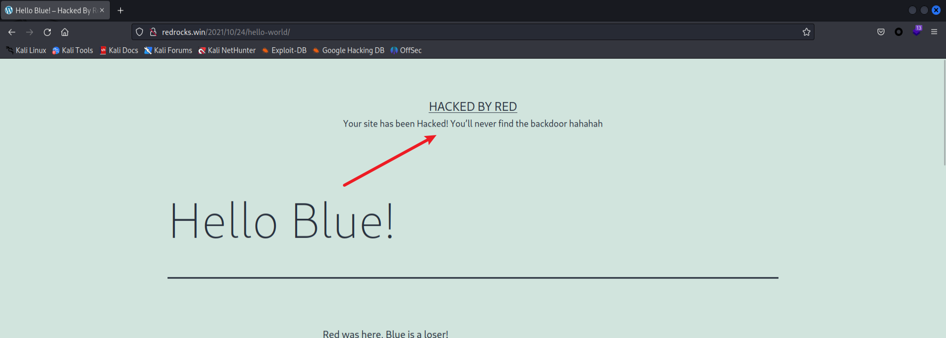 image-20230608233840749