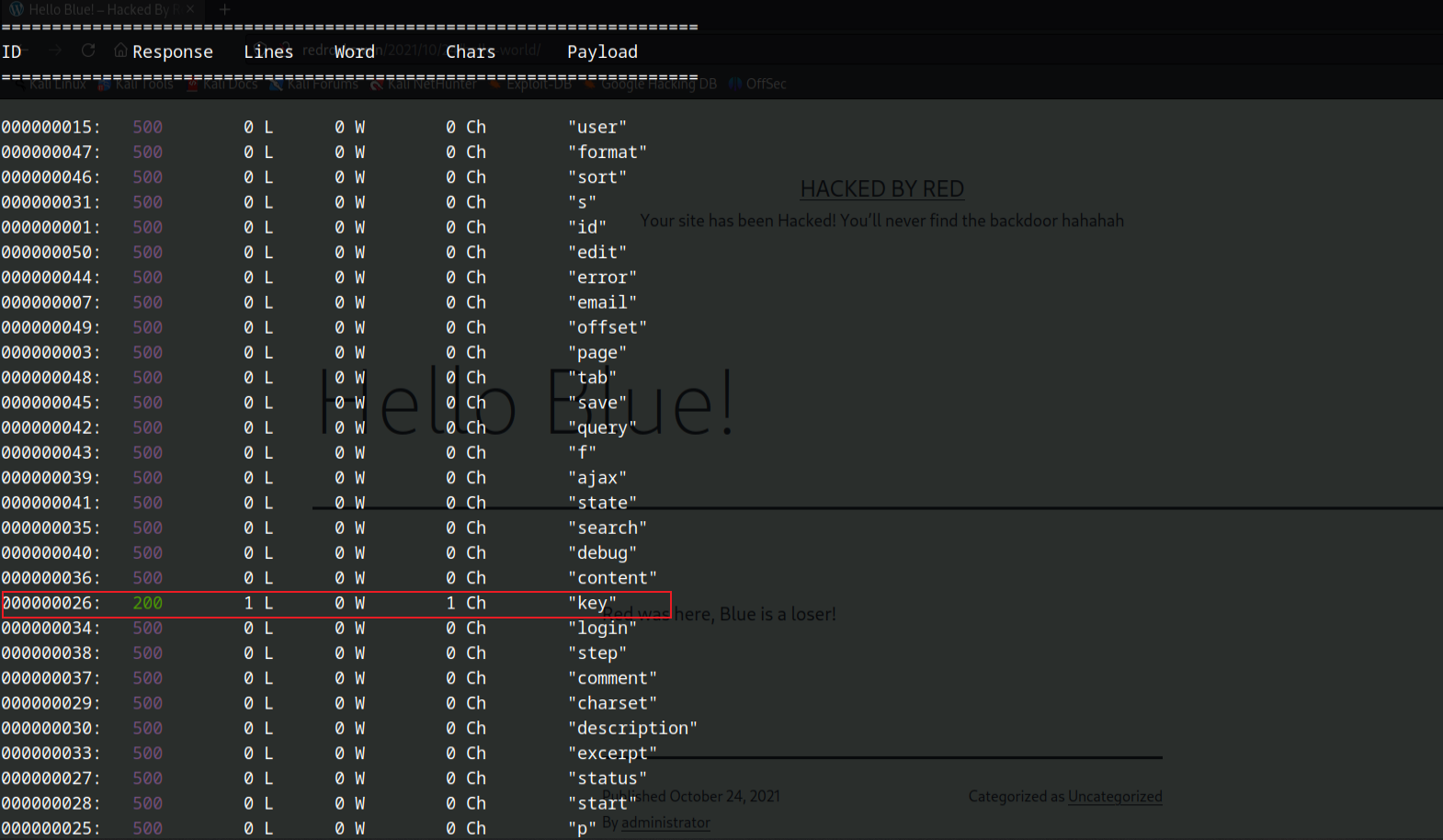 image-20230608234426440